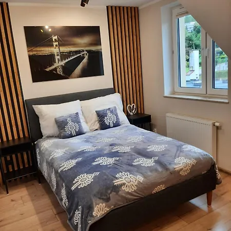 Apartament Szczawnica Apartment *
